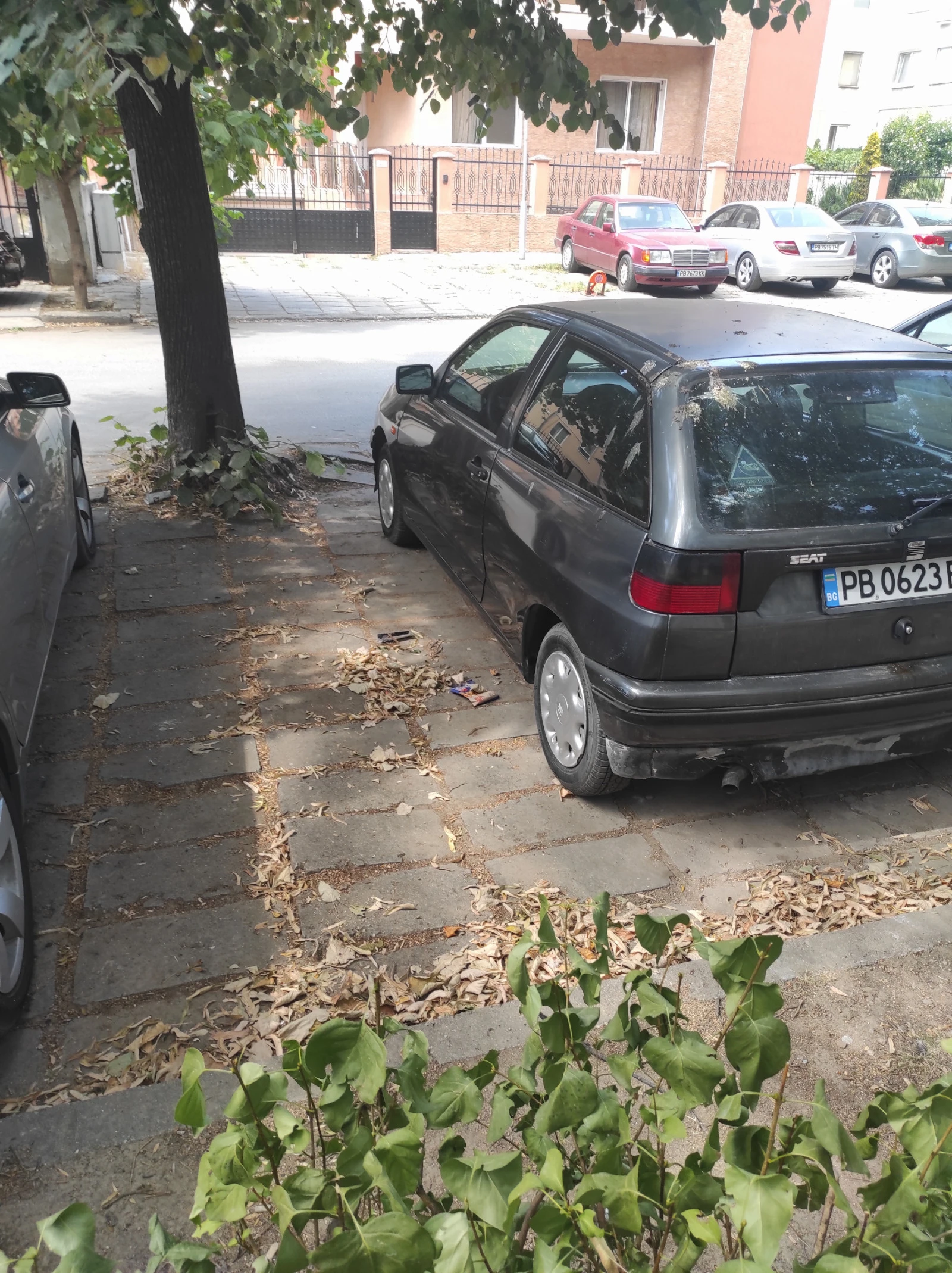 Seat Ibiza  - изображение 2