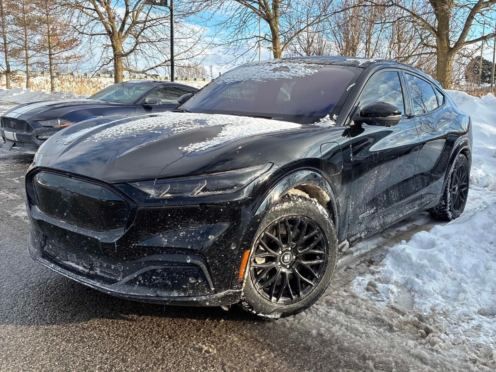 Ford Mustang Mach-E  - изображение 2