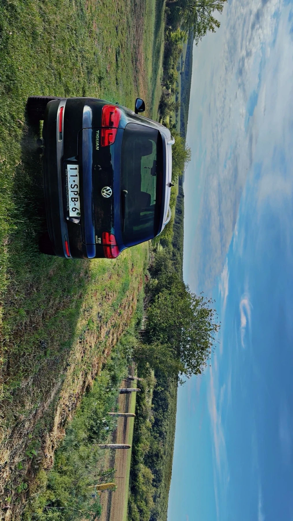 VW Tiguan  - изображение 5