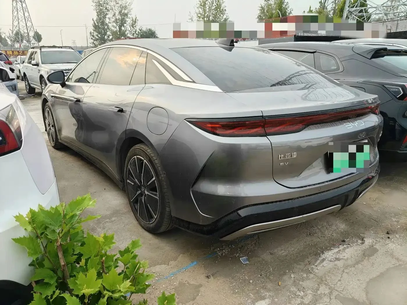 BYD HAN, снимка 3 - Автомобили и джипове - 56706750