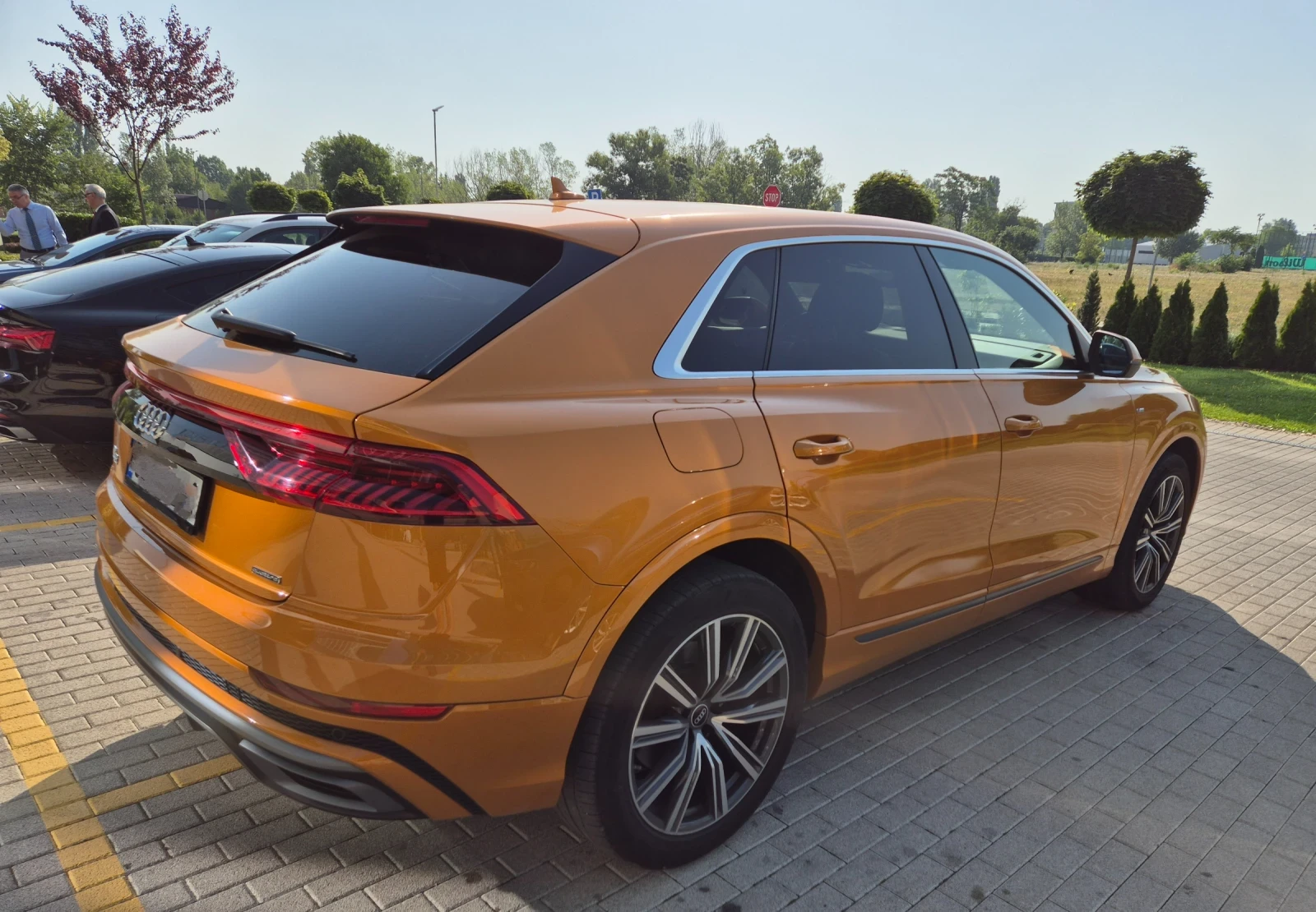 Audi Q8 PANO - изображение 2