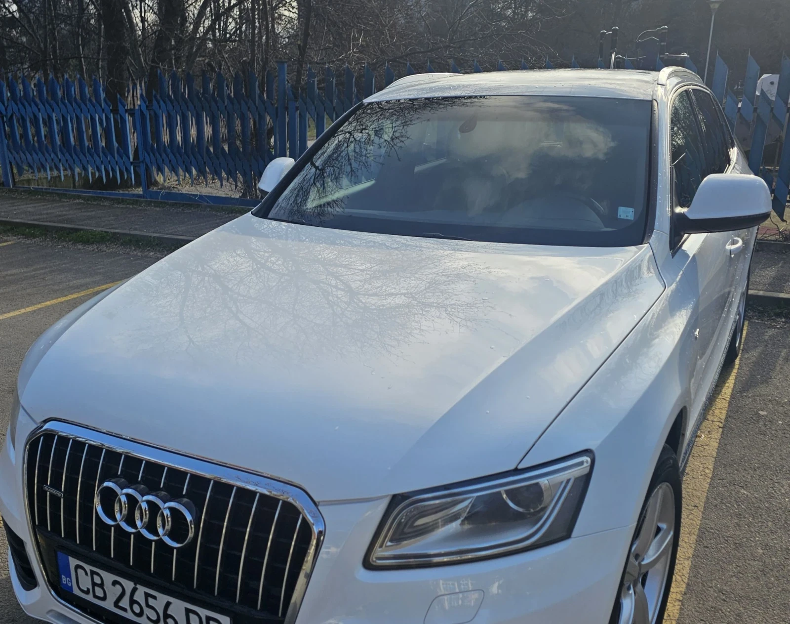 Audi Q5  - изображение 6