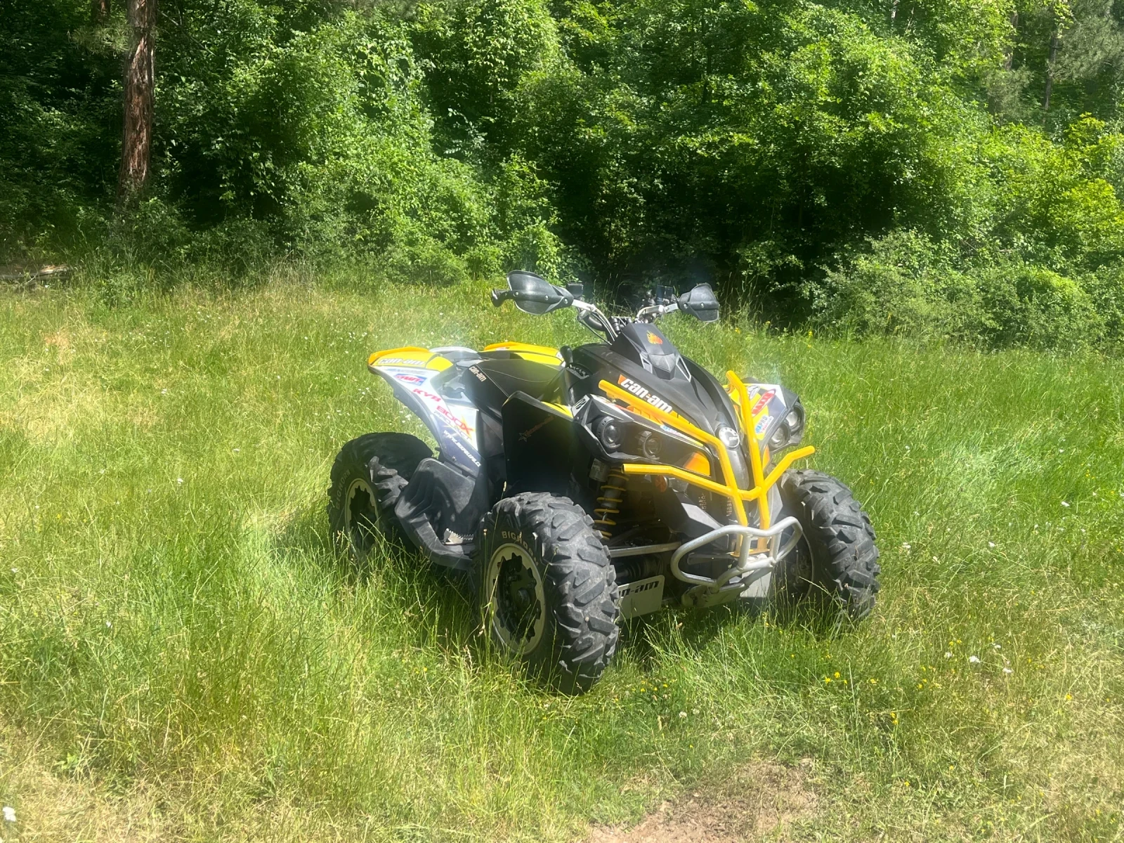 Can-Am Renеgade 800R, снимка 2 - Мотоциклети и мототехника - 55164014