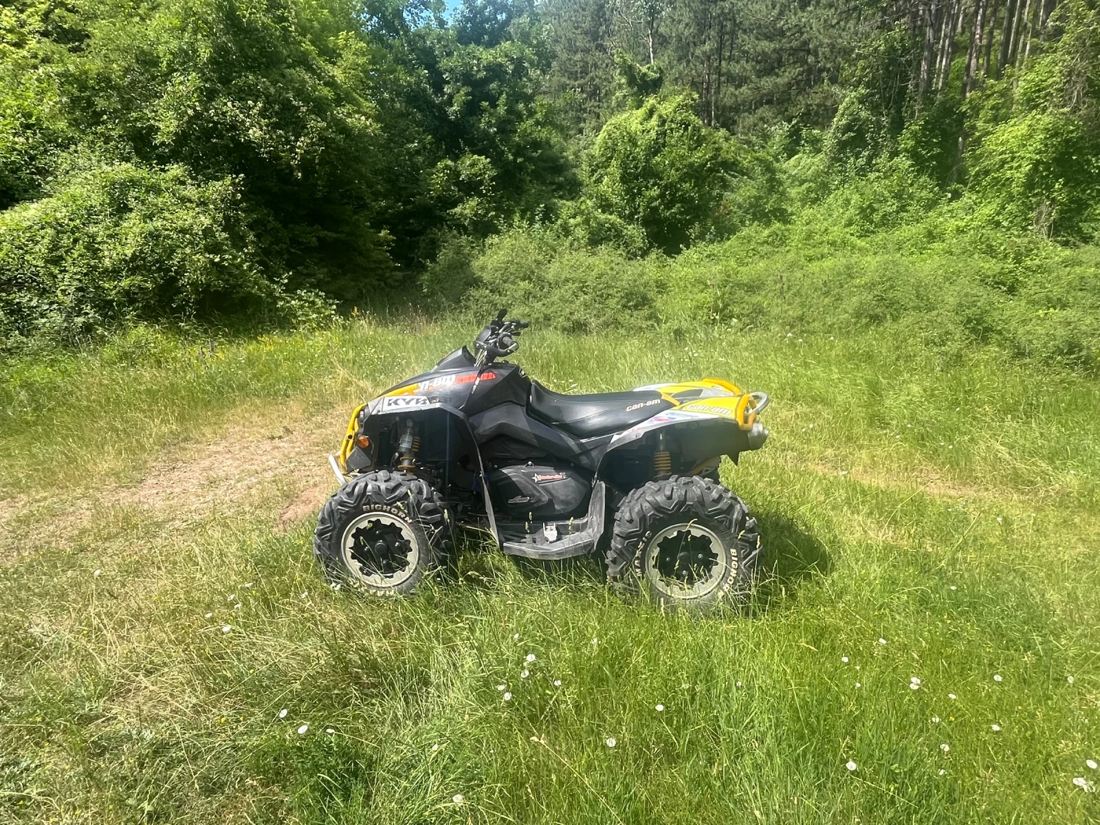 Can-Am Renеgade 800R, снимка 3 - Мотоциклети и мототехника - 55164014
