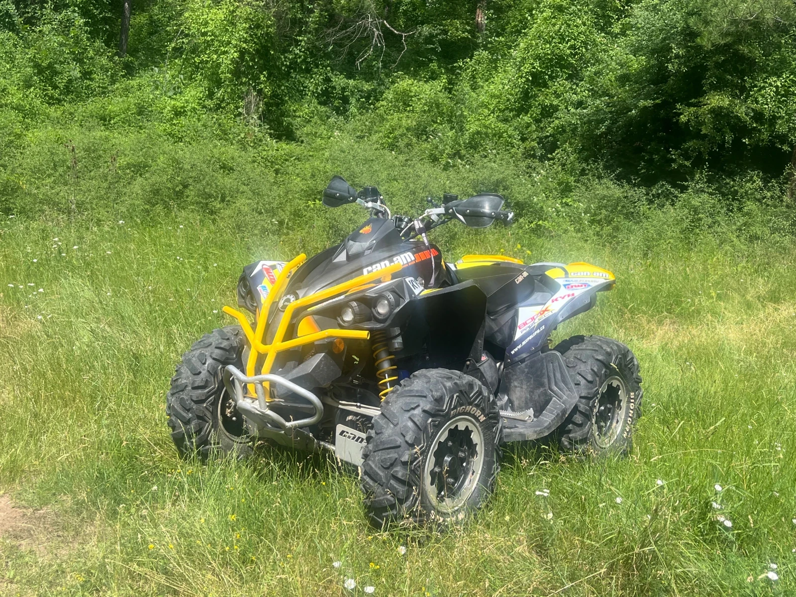 Can-Am Renеgade 800R