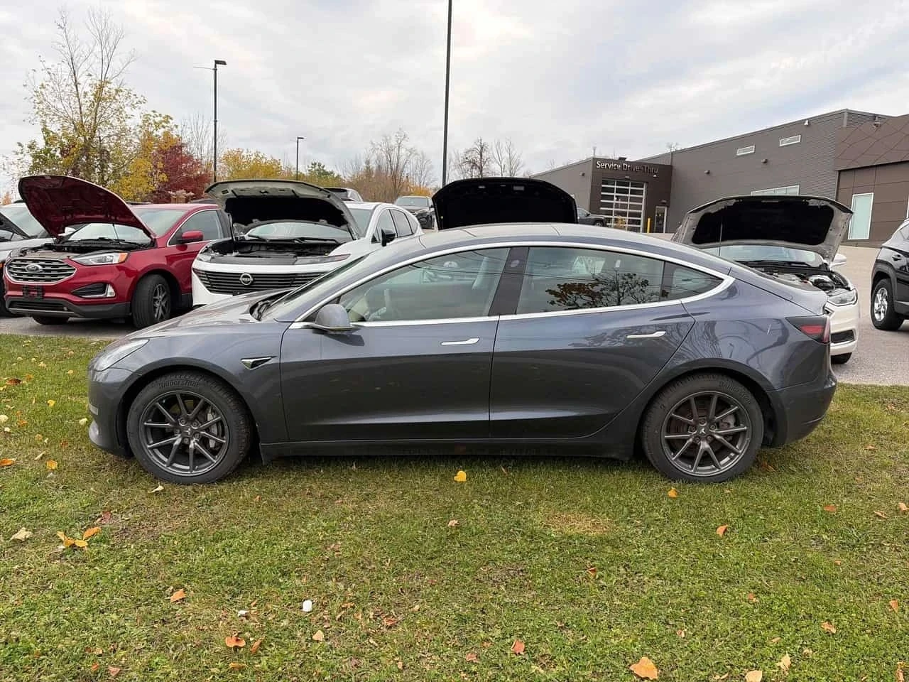 Tesla Model 3, снимка 2 - Автомобили и джипове - 56715023