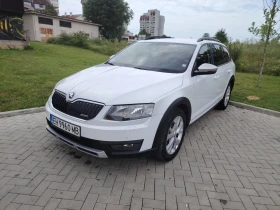 Skoda Octavia Scout - 9800 € / 19167.13 лв. - 23970559 1