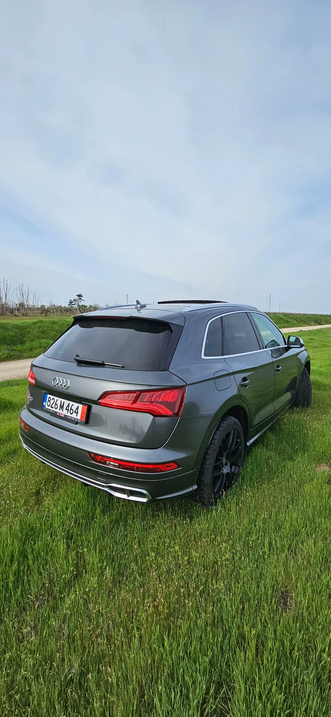 Audi SQ5, снимка 9 - Автомобили и джипове - 53916925