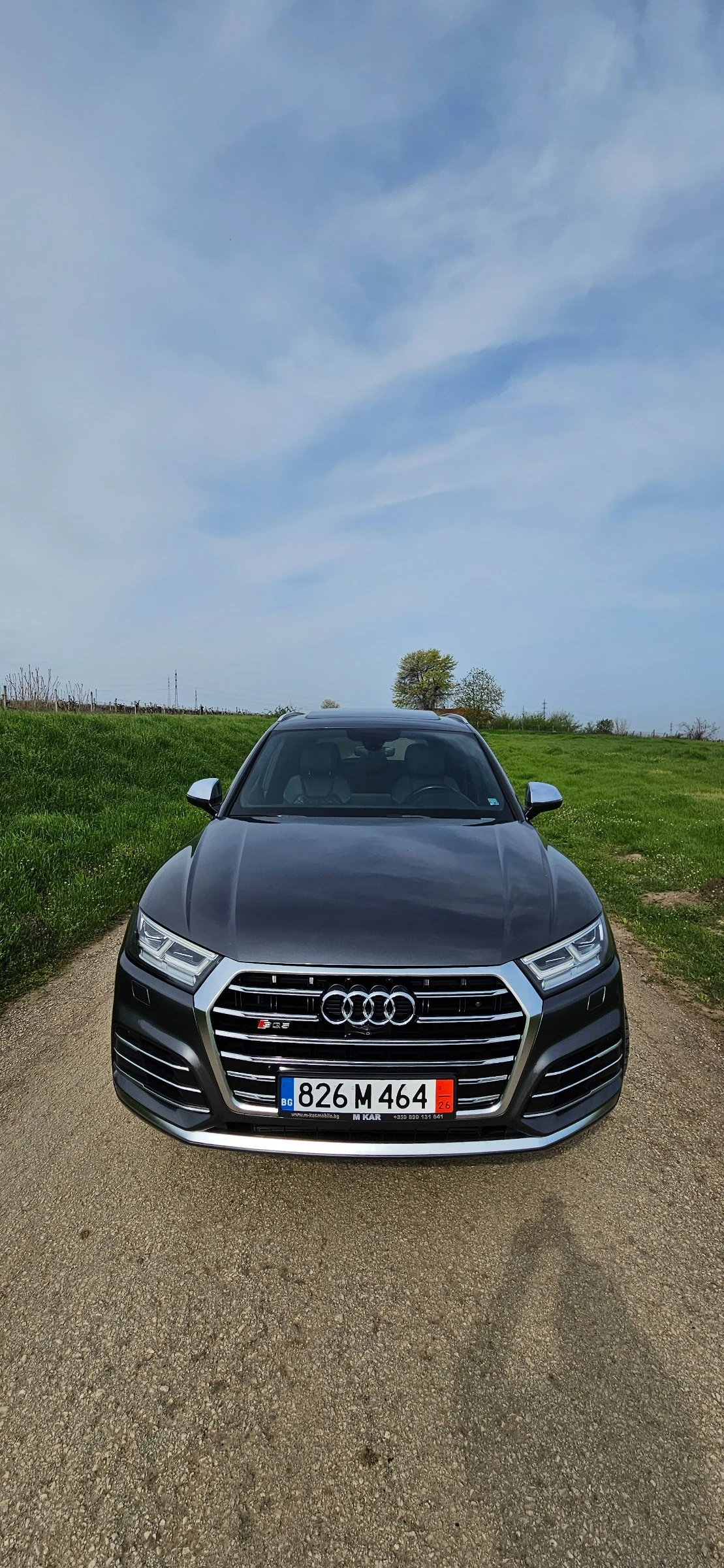 Audi SQ5, снимка 3 - Автомобили и джипове - 53916925