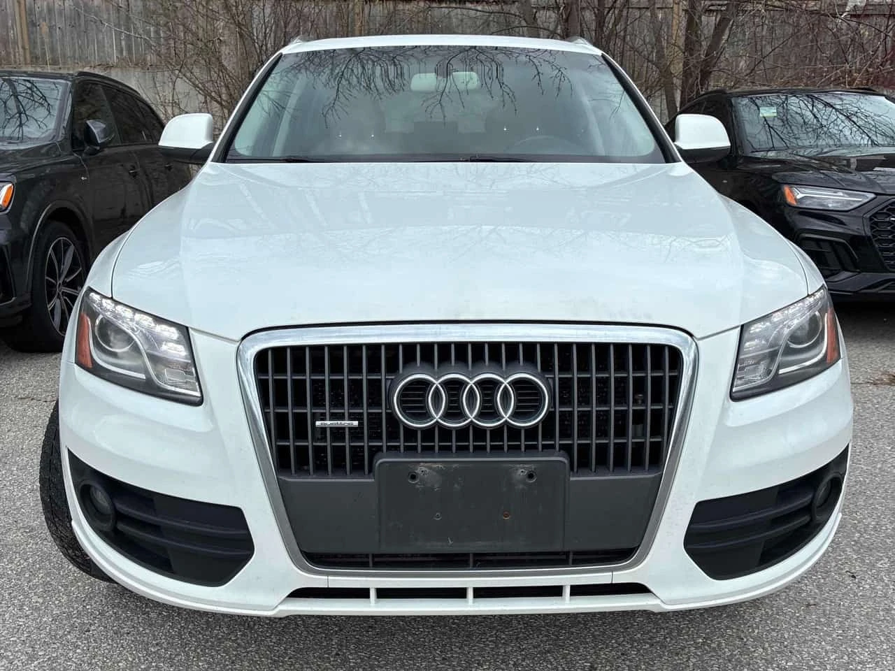 Audi Q5 * 2.0L Premium * CARFAX * ОТ ПРЕДСТАВИТЕЛСТВО * , снимка 6 - Автомобили и джипове - 55748103