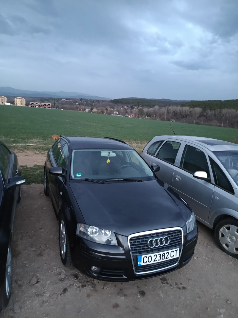 Audi A3 8p, снимка 11 - Автомобили и джипове - 49508685