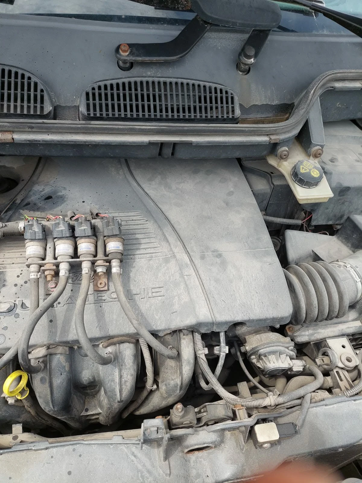 Ford C-max, снимка 12 - Автомобили и джипове - 54731386