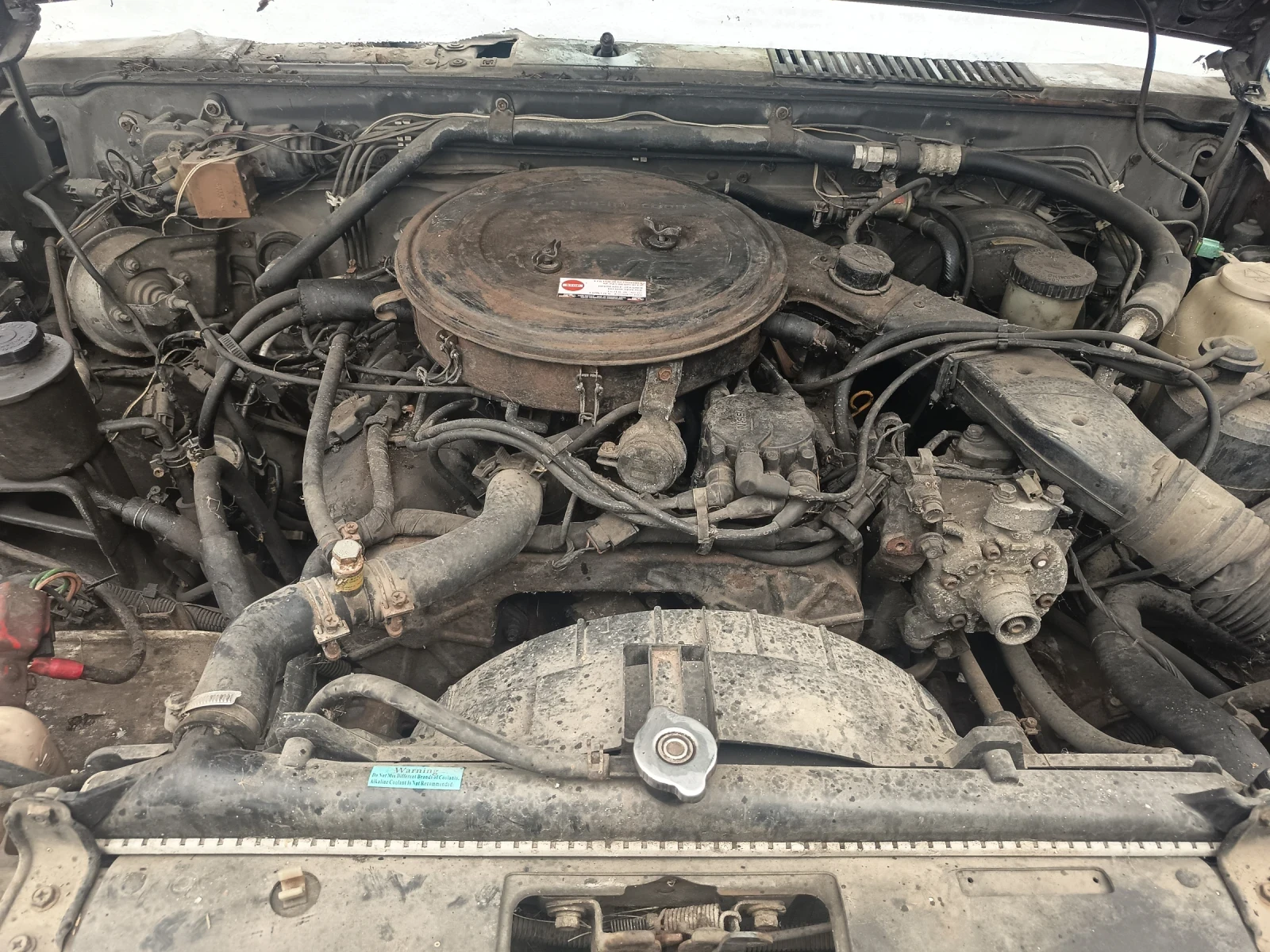 Nissan Terrano | Mobile.bg � ����������� 1