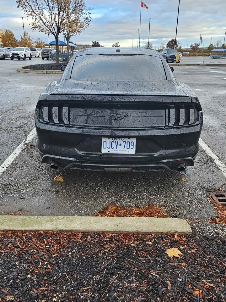 Ford Mustang * CARFAX * БЕЗ ПЪРВОНАЧАЛНА ВНОСКА, снимка 8 - Автомобили и джипове - 52754053