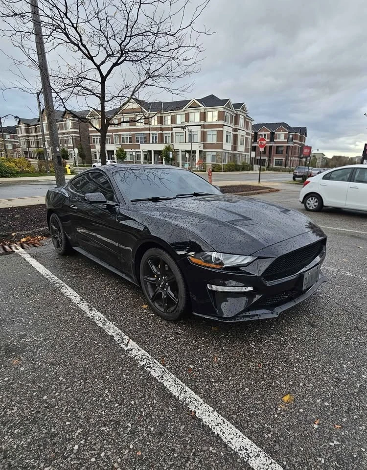 Ford Mustang * CARFAX * БЕЗ ПЪРВОНАЧАЛНА ВНОСКА, снимка 4 - Автомобили и джипове - 52754053