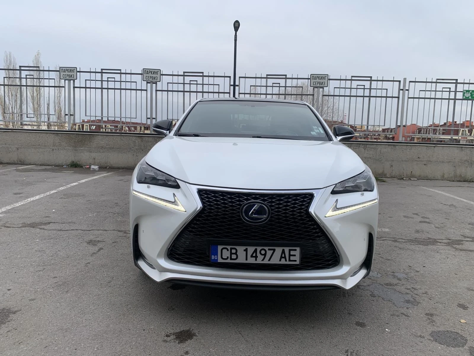Lexus NX 300h  NX 300 h F-SPORT  | Mobile.bg   10