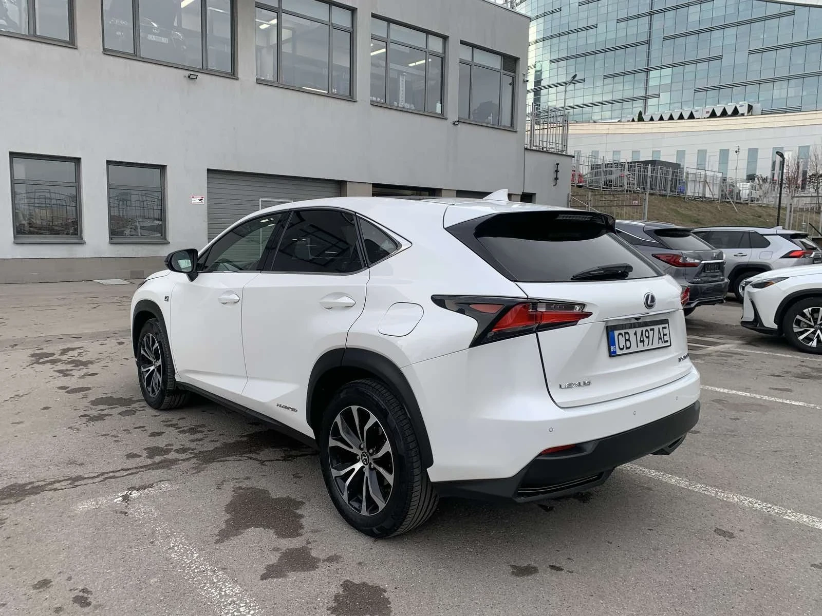 Lexus NX 300h  NX 300 h F-SPORT  | Mobile.bg   3