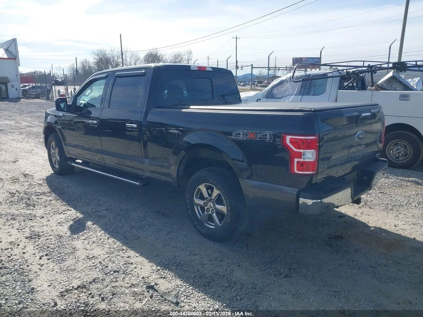 Ford F150 3.5l F-150 Xlt - изображение 3