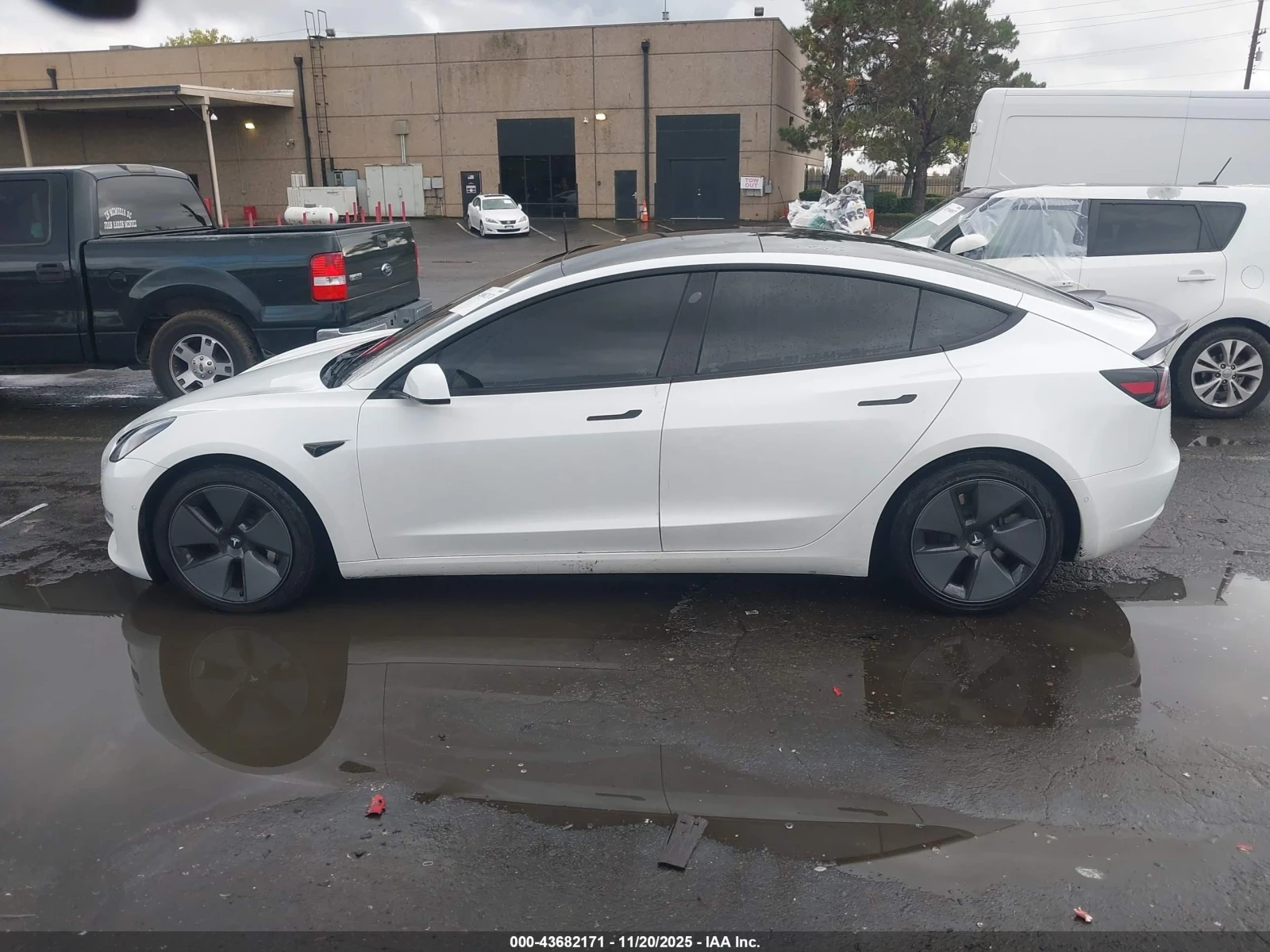 Tesla Model 3, снимка 14 - Автомобили и джипове - 54481621