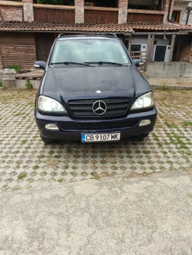 Mercedes-Benz ML 270, снимка 1
