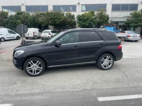 Mercedes-Benz ML 250 D   | Mobile.bg    7