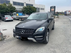  Mercedes-Benz ML 250