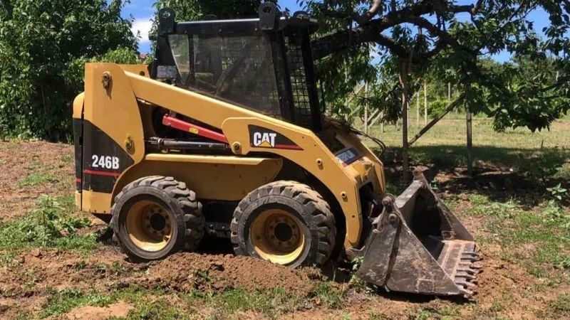 ���� ����� �������� Cat | Mobile.bg � ����������� 2