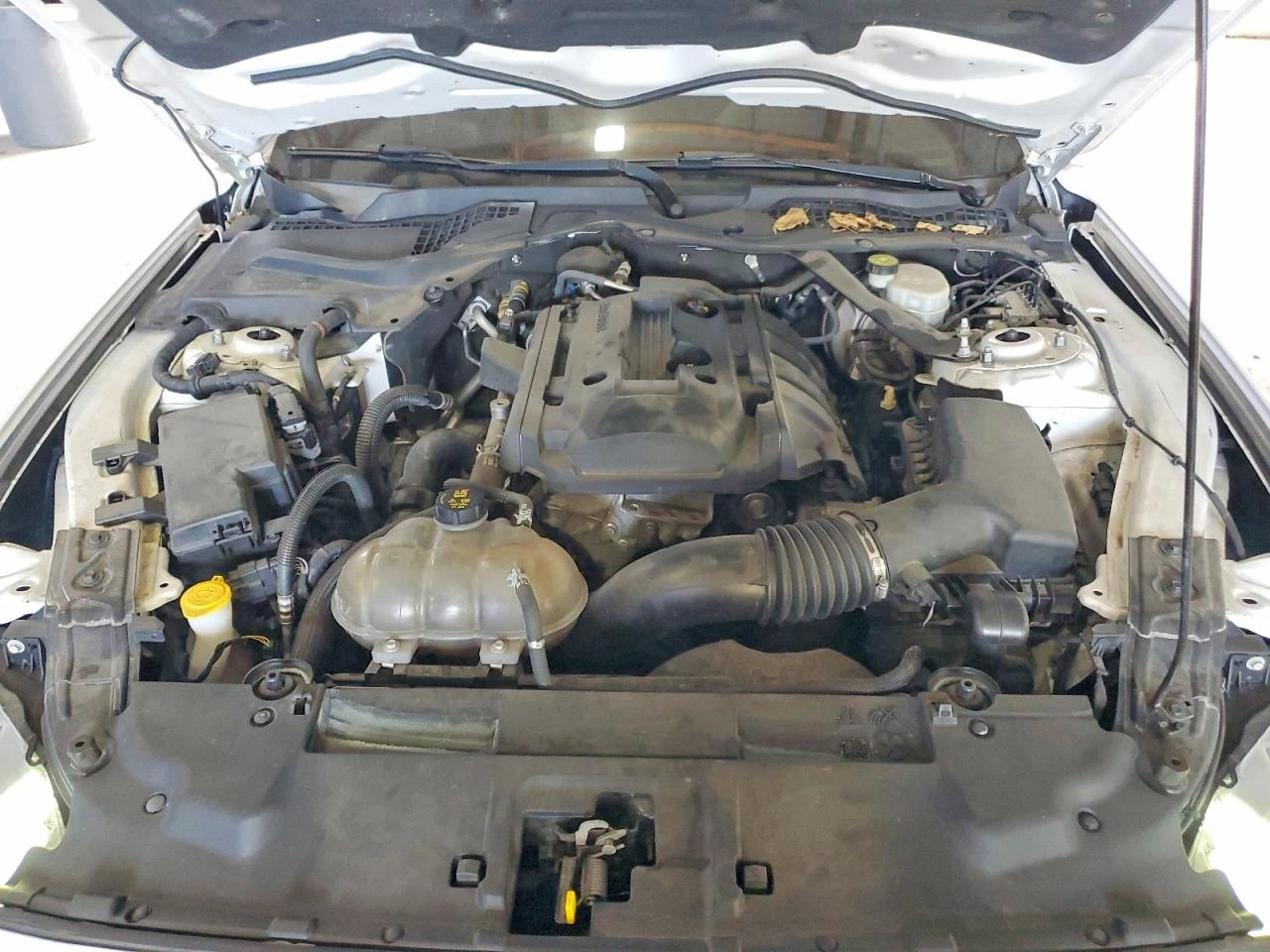 Ford Mustang 2.3l, снимка 11 - Автомобили и джипове - 56073970