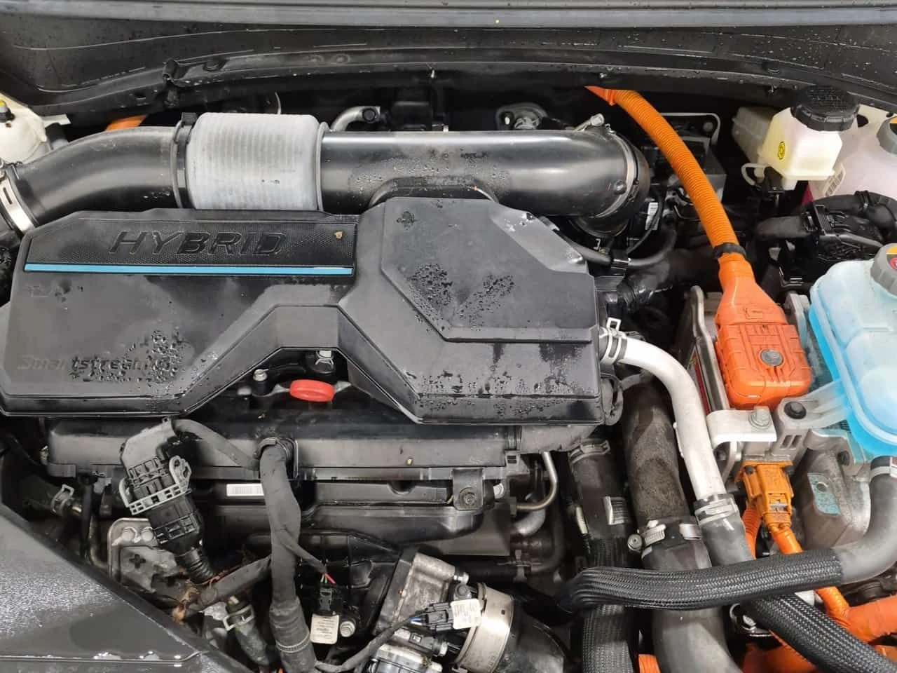 Kia Sportage * SX * CARFAX * ��������� * 2 ����� * �������� | Mobile.bg � ����������� 16