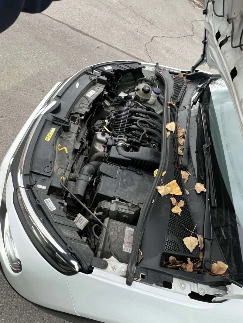 Citroen C3 от СИТРОЕН БЪЛГАРИЯ, снимка 16 - Автомобили и джипове - 52659763