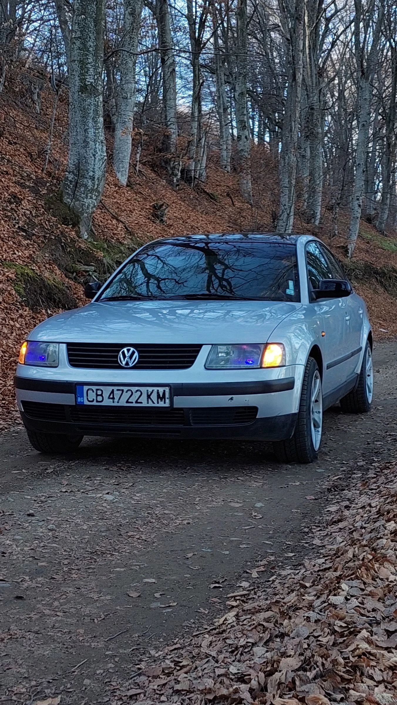 VW Passat, снимка 1