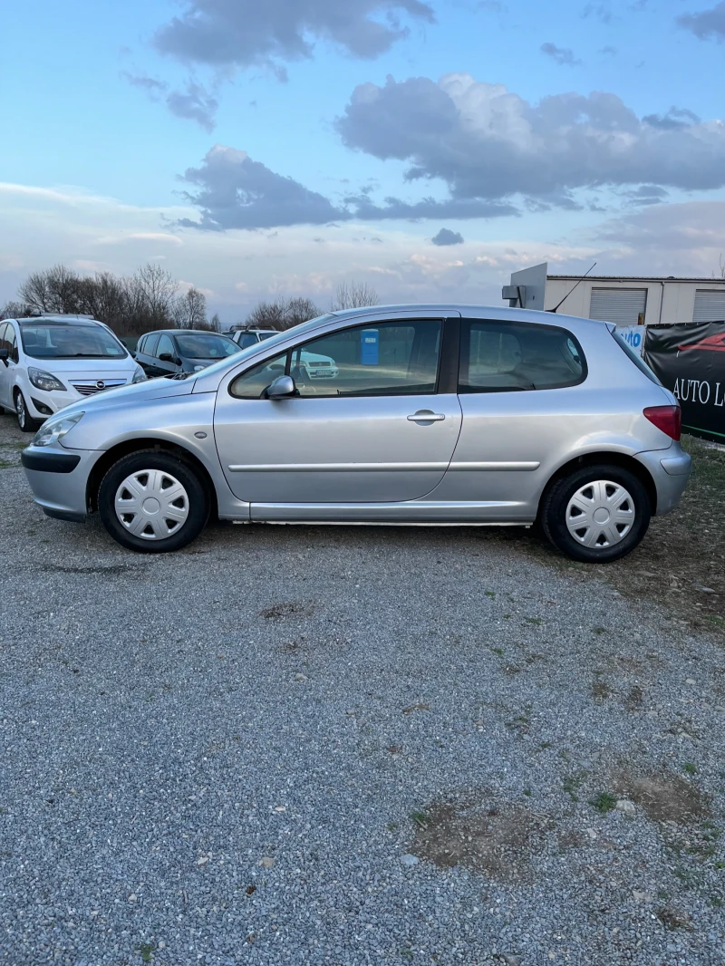 Peugeot 307 1.9, снимка 4 - Автомобили и джипове - 49516900