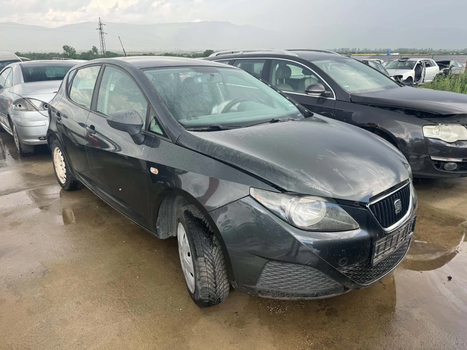 Seat Ibiza