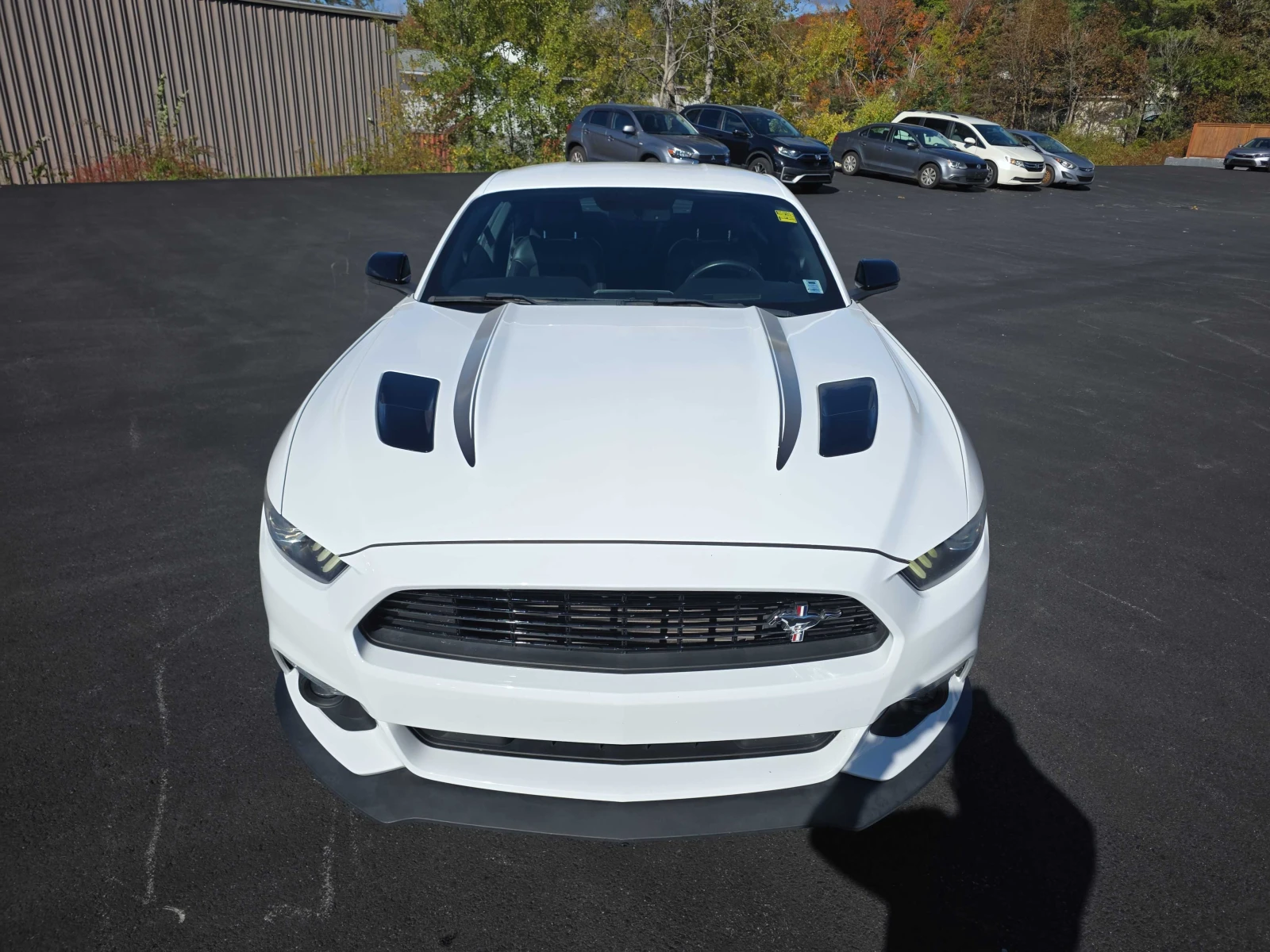 Ford Mustang * GT* PREMIUM*  | Mobile.bg � ����������� 11