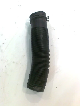 ������ ������� ������� ����...