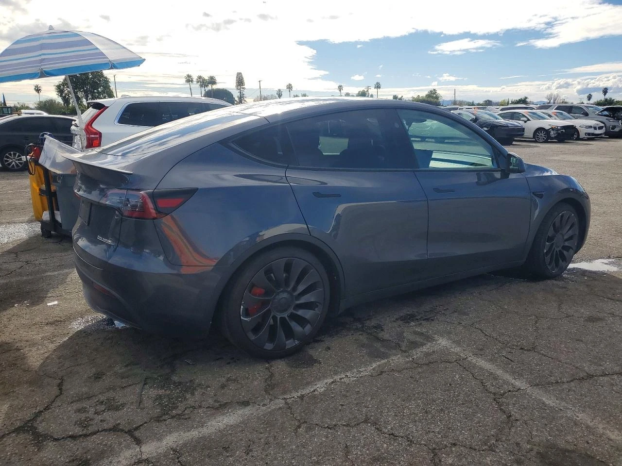 Tesla Model Y Performance AWD, снимка 3 - Автомобили и джипове - 54152993