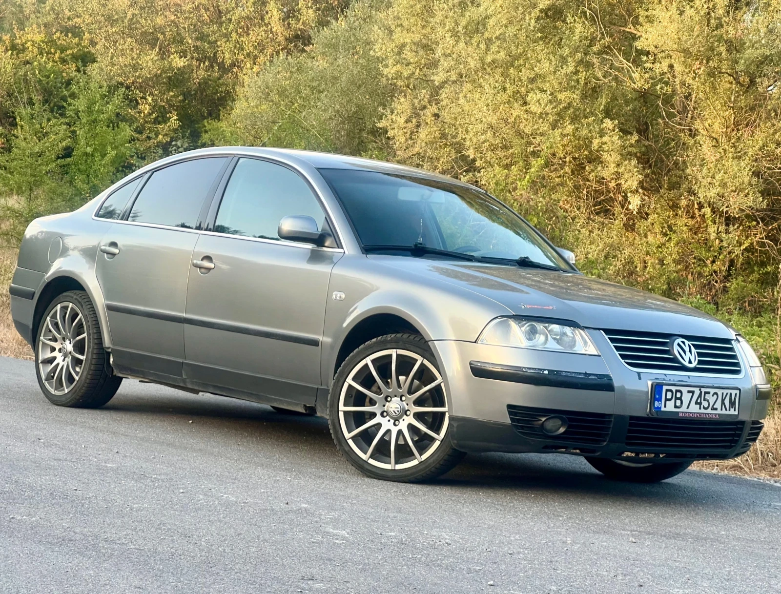 VW Passat