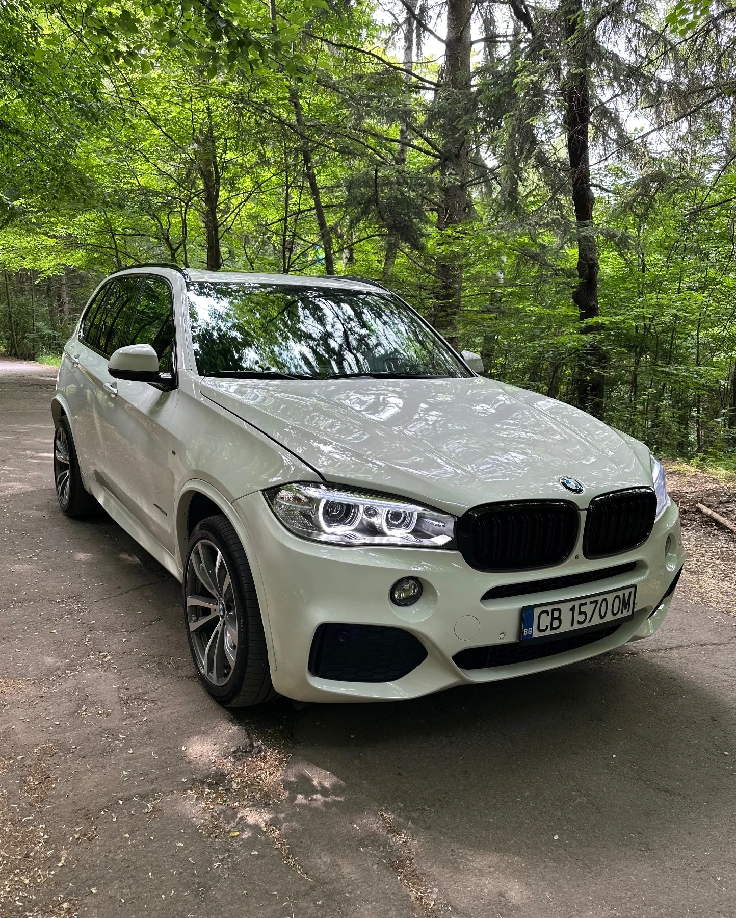 BMW X5, снимка 3 - Автомобили и джипове - 55124378