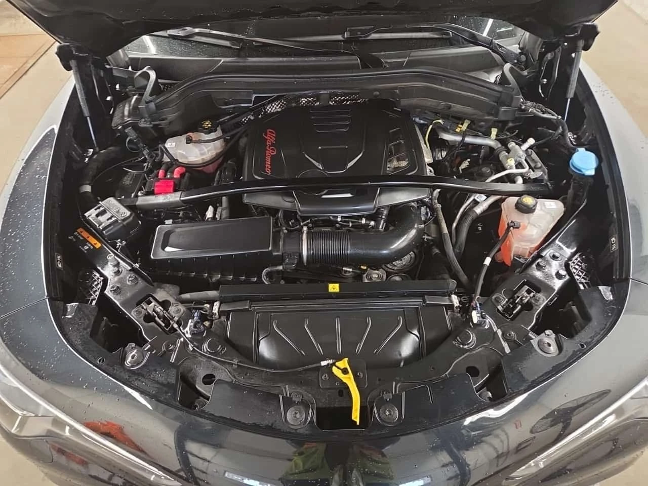 Alfa Romeo Stelvio * VELOCE * CARFAX * ����� �� ����������� | Mobile.bg � ����������� 16