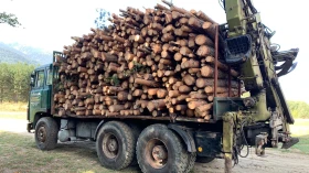 Scania 140 | Mobile.bg � ����� ������ 8