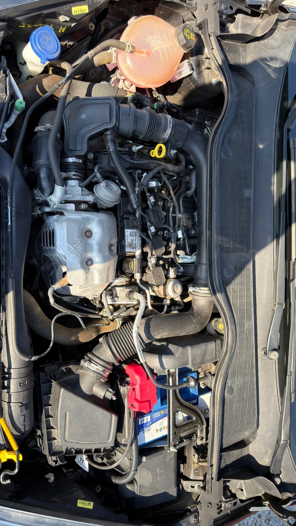 Ford Fiesta TITANIUM ОБСЛУЖЕНА, снимка 16 - Автомобили и джипове - 55740009