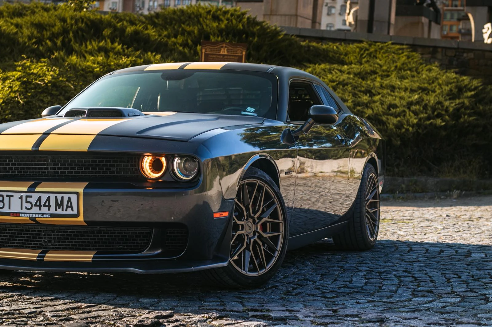 Dodge Challenger 5.7 HEMI с SHAKER - изображение 5