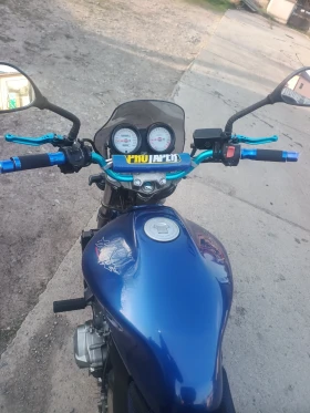 Honda Hornet PC 34 | Auto.bg — изображение 6