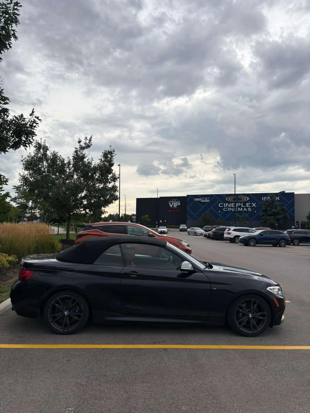 BMW 240  M xDrive / Cabrio / Carfax , снимка 3 - Автомобили и джипове - 56243969