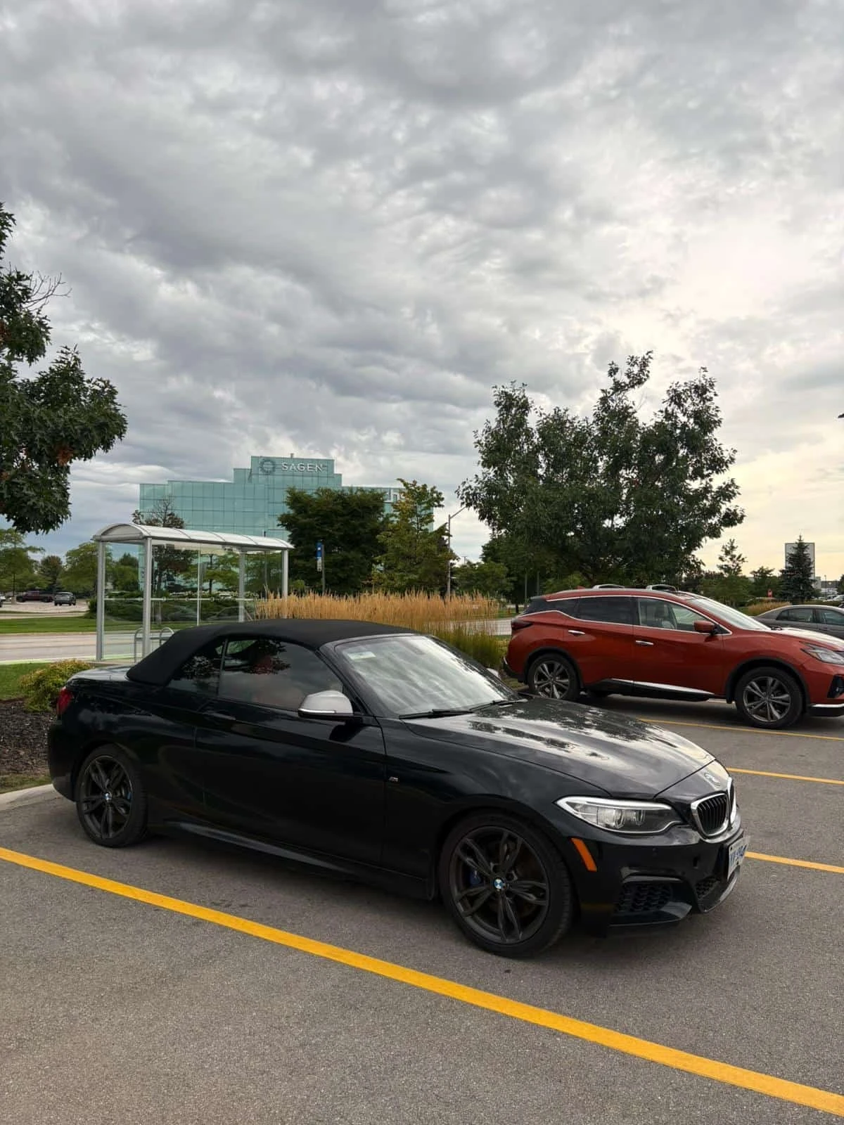 BMW 240  M xDrive / Cabrio / Carfax 