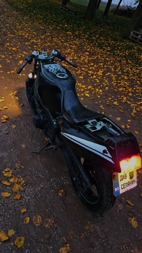 Yamaha Fzr  - изображение 1