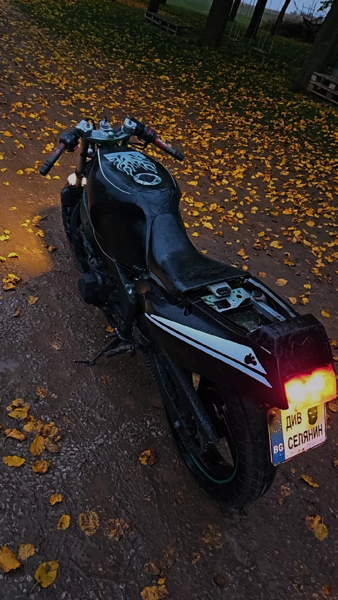Yamaha Fzr, снимка 1