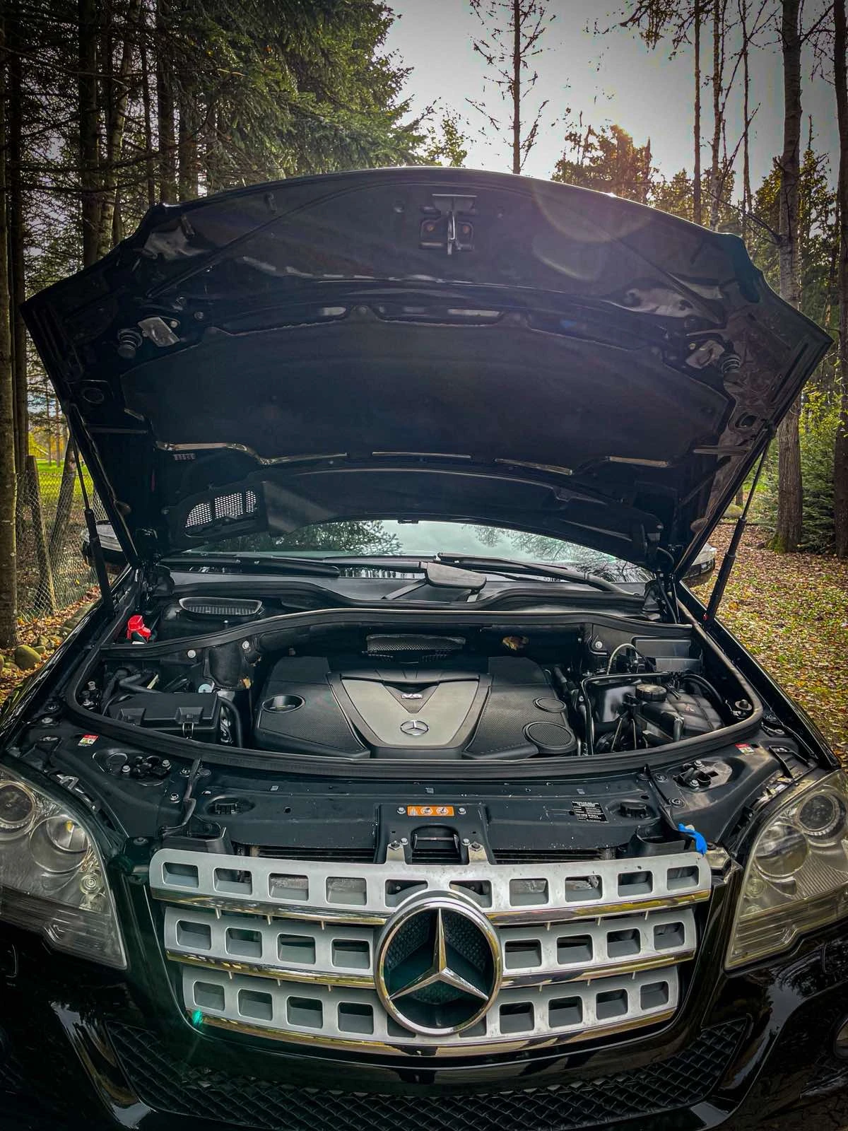 Mercedes-Benz ML | Mobile.bg � ����������� 12