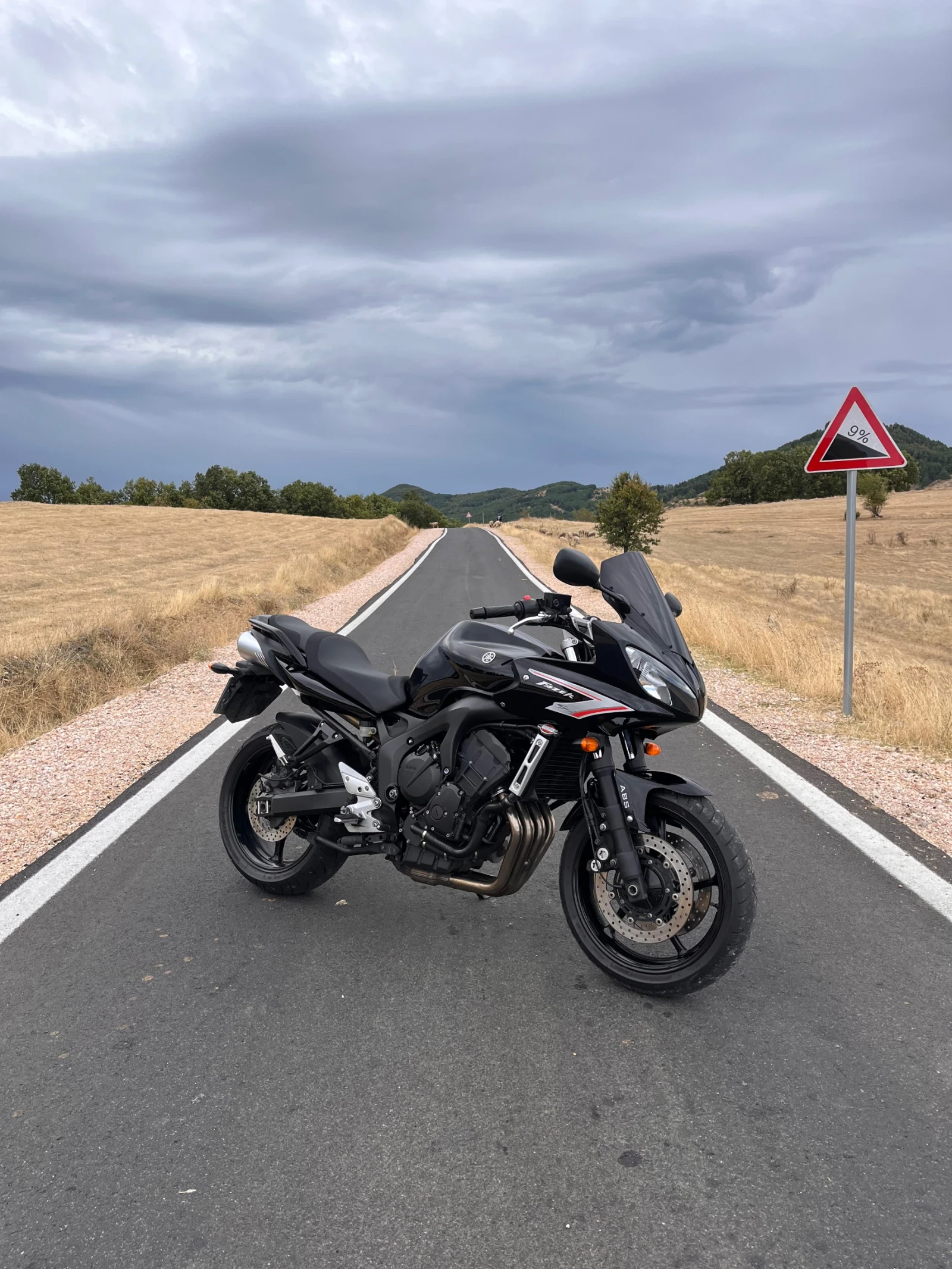 Yamaha FZ6 Fazer S2 ABS