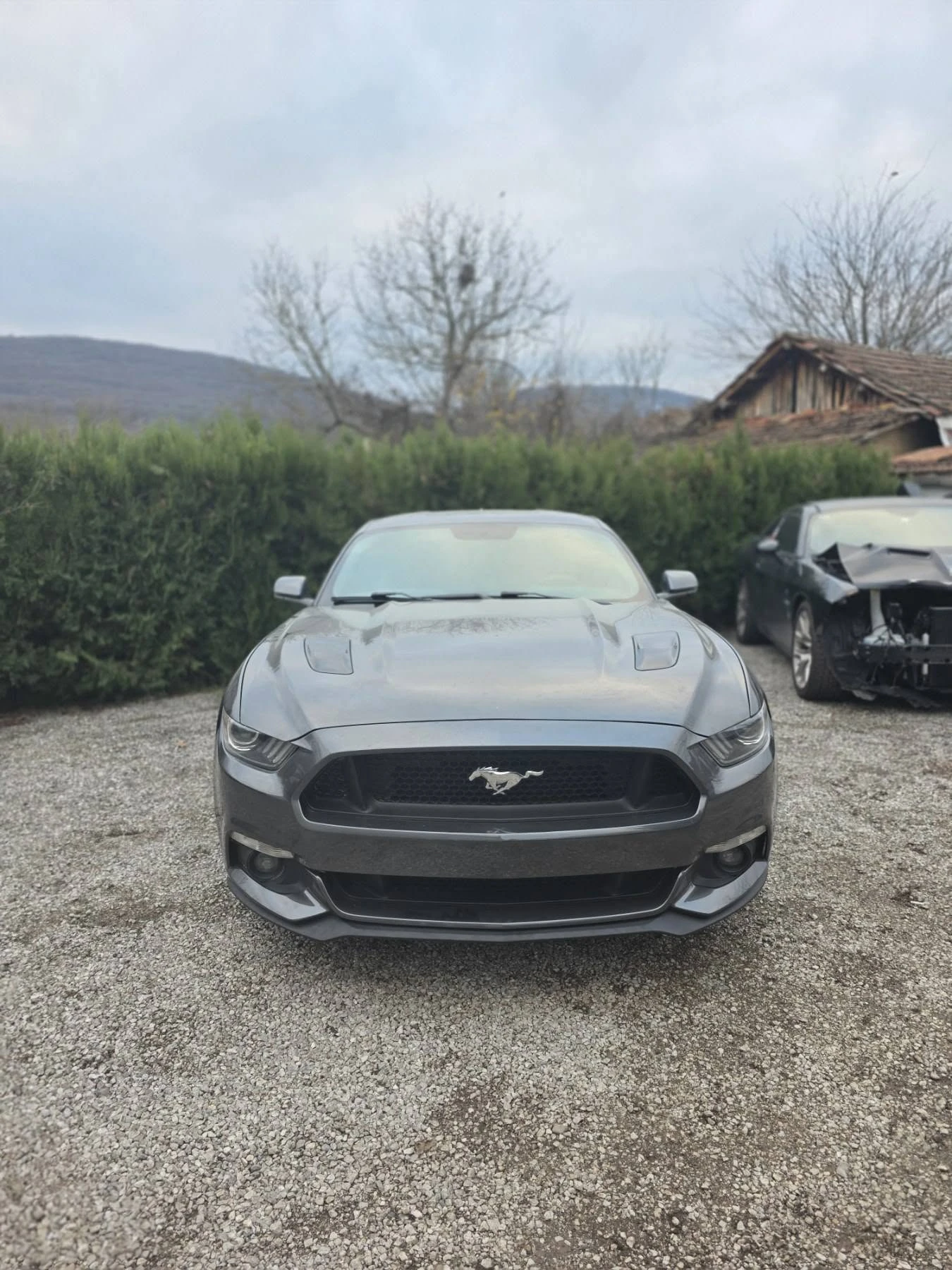 Ford Mustang GT Premium | Mobile.bg � ����������� 1